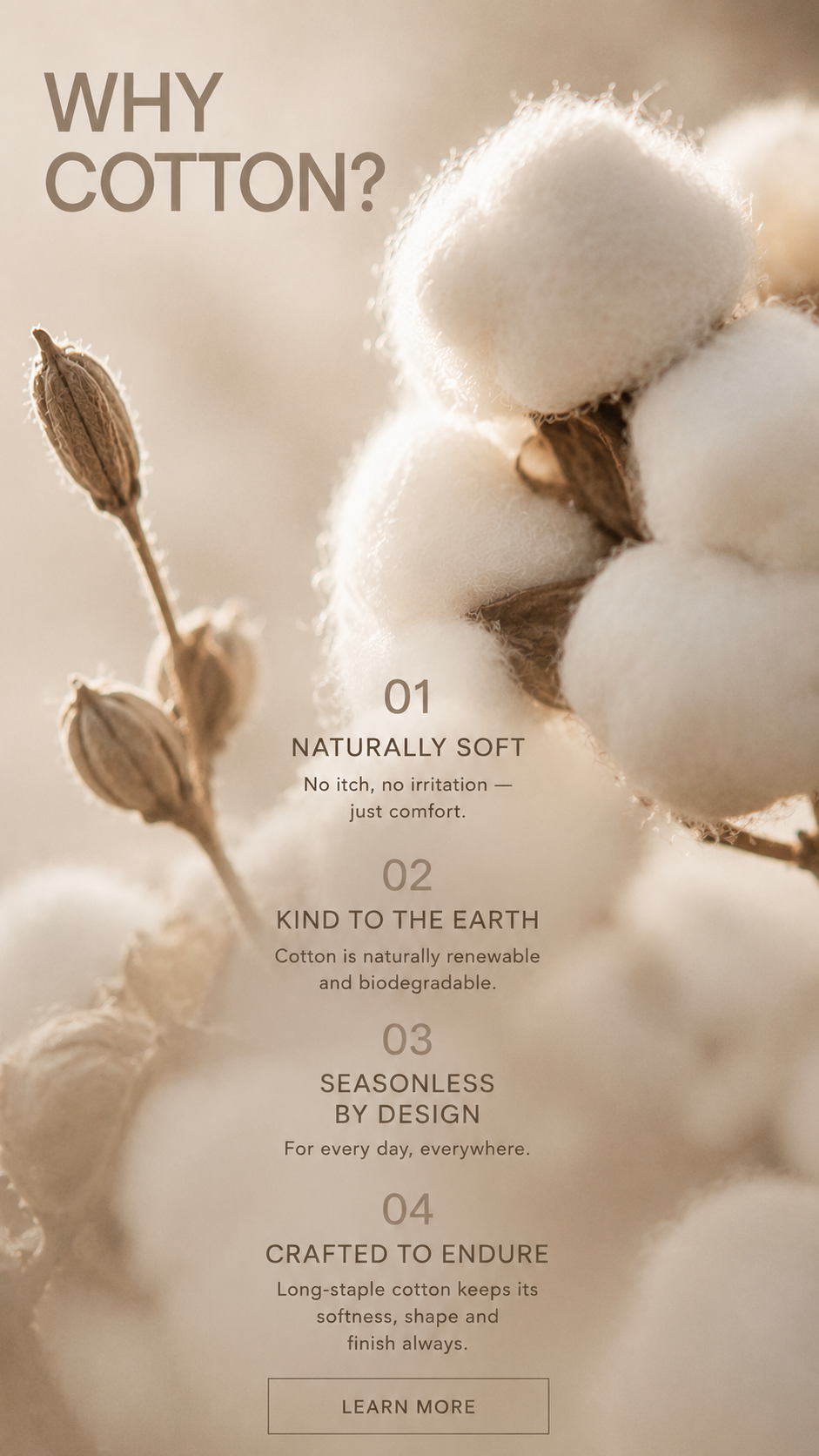 State of Cotton NYC