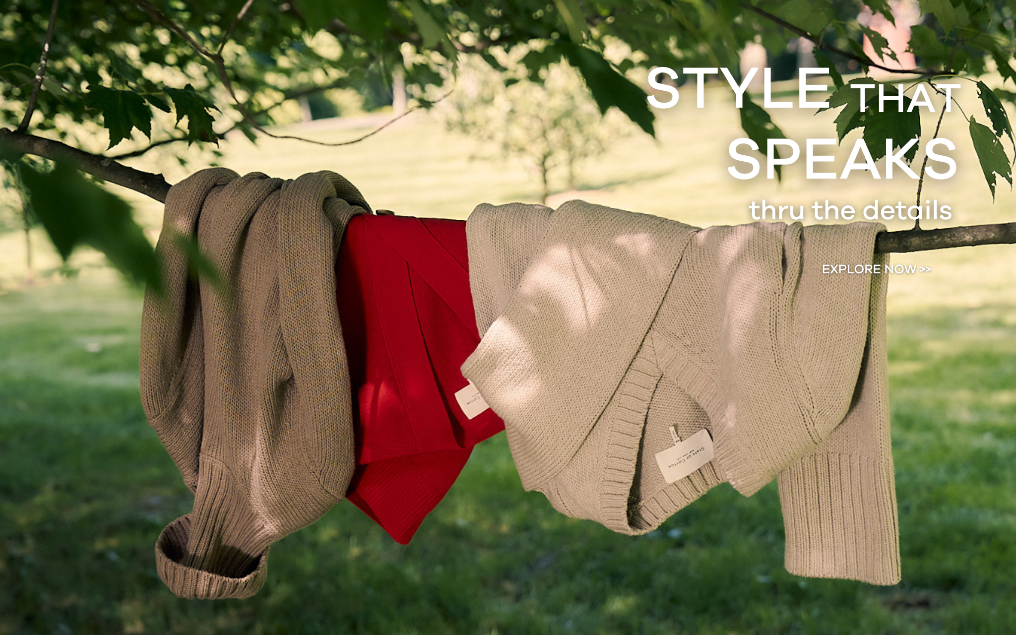 State of Cotton NYC