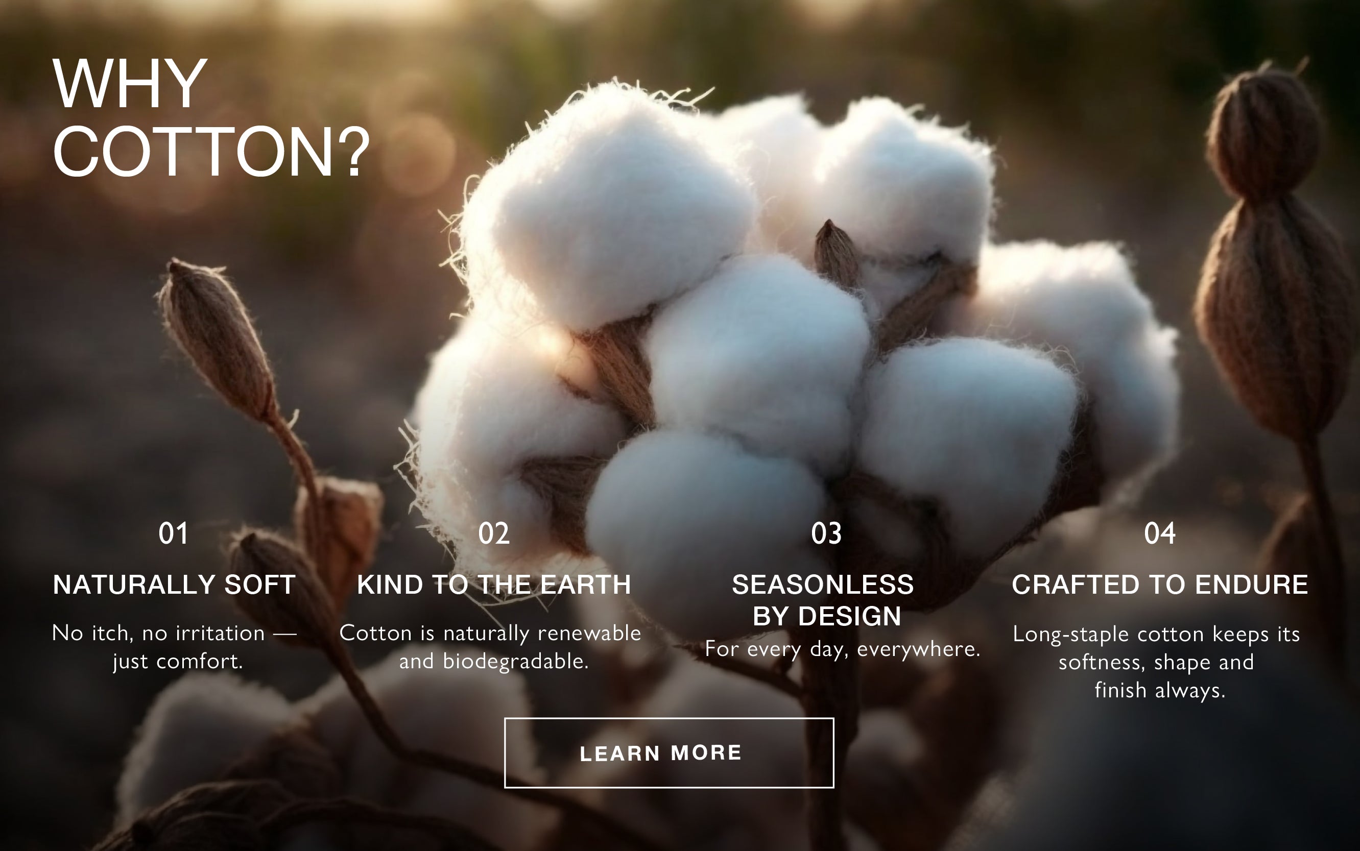 State of Cotton NYC